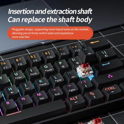 Kompaktes RGB Mechanical Keyboard für echte FPS-Gamer 60%