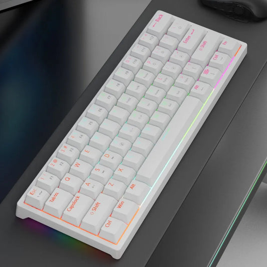 Kompaktes RGB Mechanical Keyboard für echte FPS-Gamer 60%